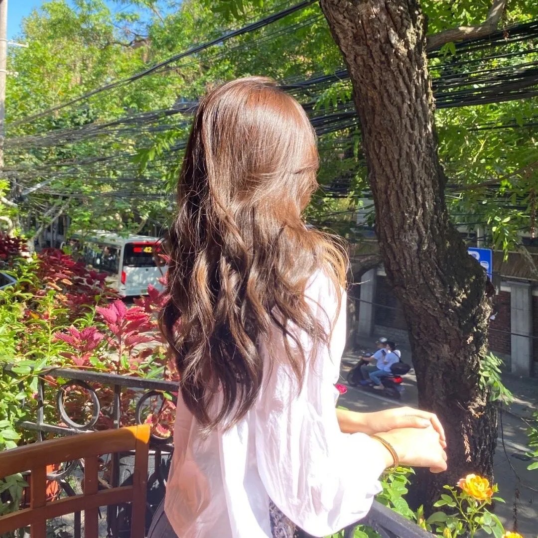 穿越橄榄树林