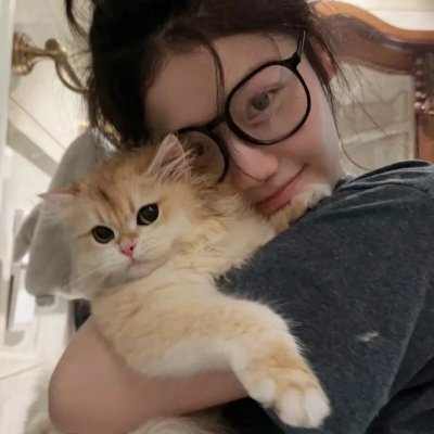 科搜研之女第24季